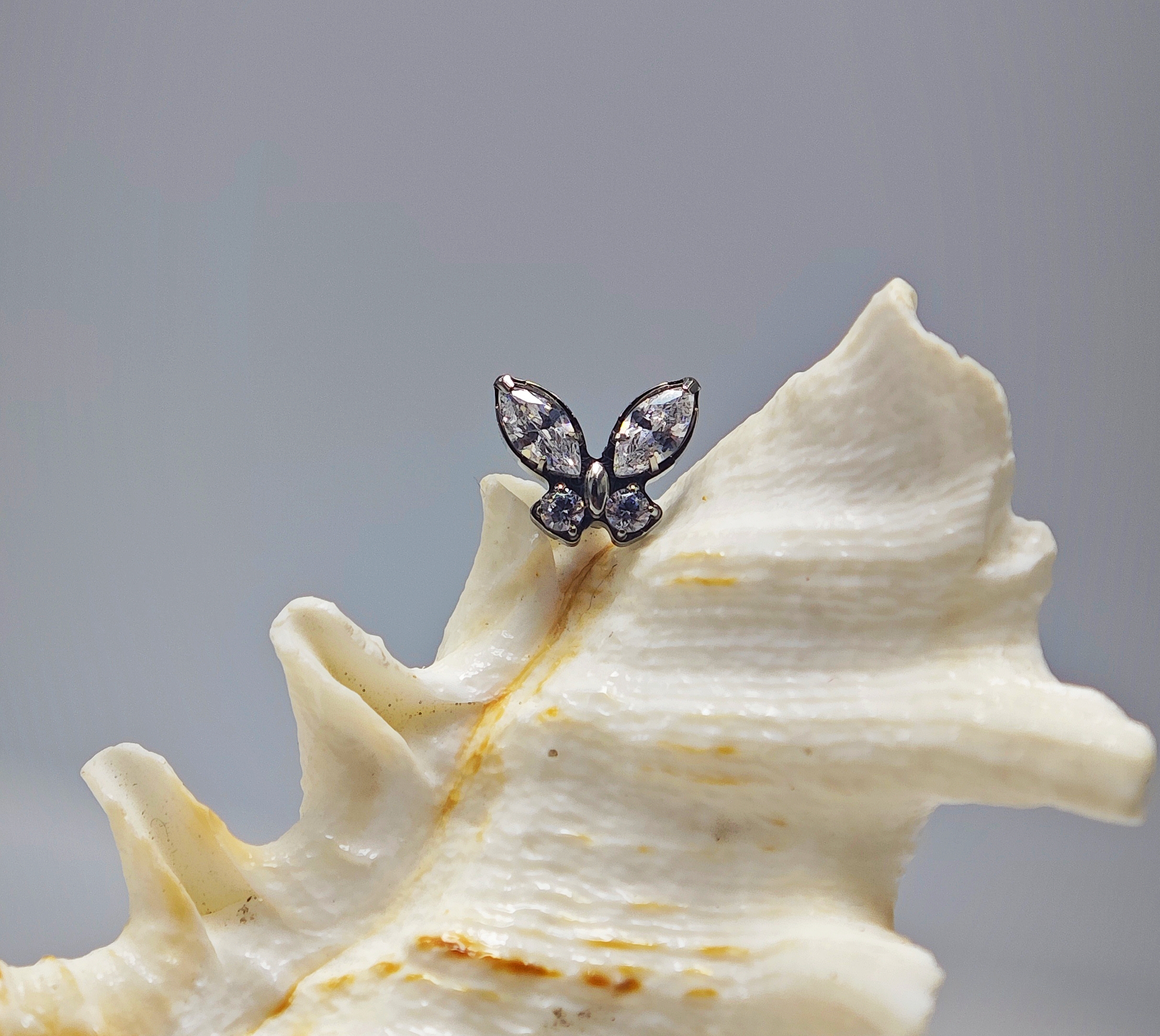 16G Implant Grade Titanium AST - مراجعة Body Jewelry Implant Grade Titanium وسعره