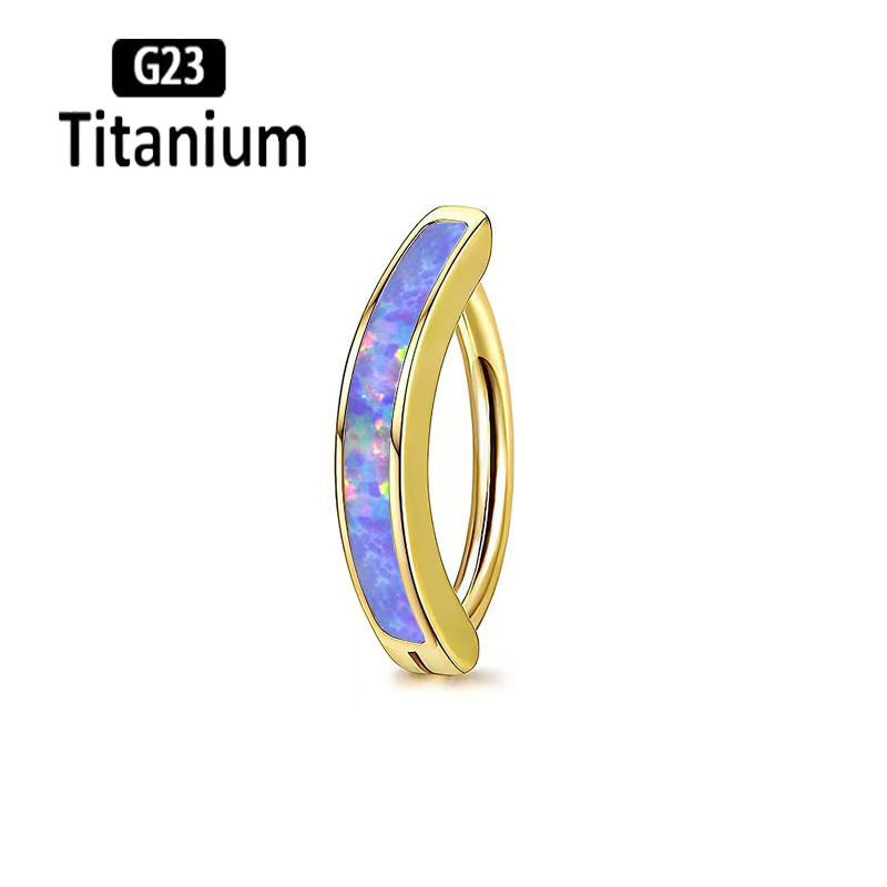 1PC 14G Implant Grade G23 Tita - مراجعة Body Jewelry Implant Grade Titanium وسعره