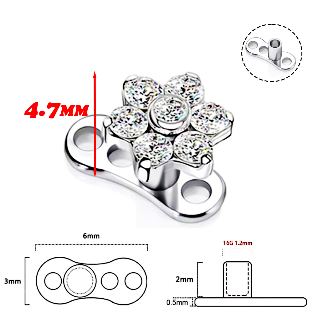 F136 Titanium Alloy High-Quali - مراجعة Body Jewelry Implant Grade Titanium وسعره